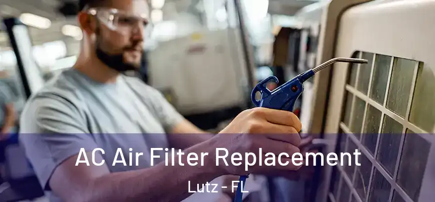 AC Air Filter Replacement Lutz - FL