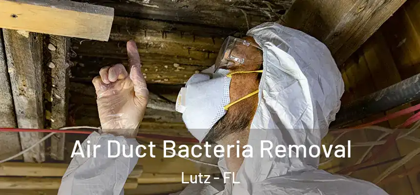 Air Duct Bacteria Removal Lutz - FL