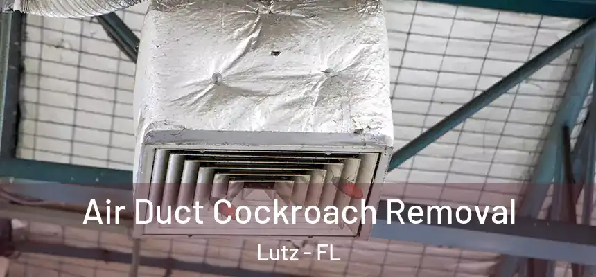  Air Duct Cockroach Removal Lutz - FL