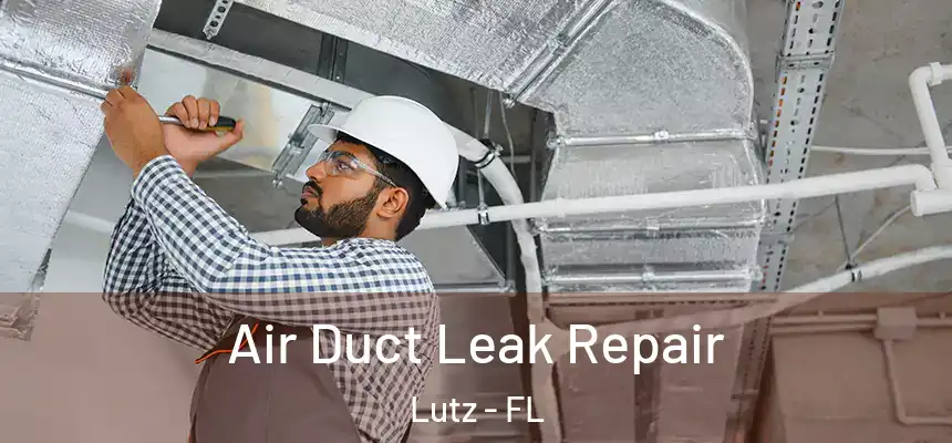  Air Duct Leak Repair Lutz - FL