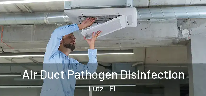  Air Duct Pathogen Disinfection Lutz - FL