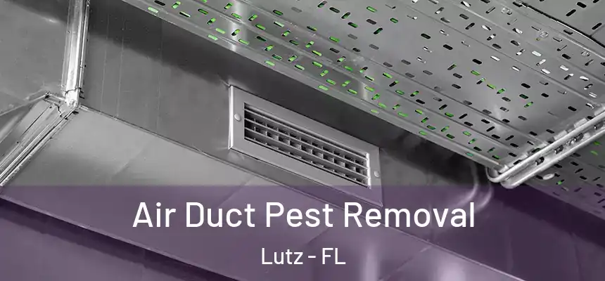  Air Duct Pest Removal Lutz - FL