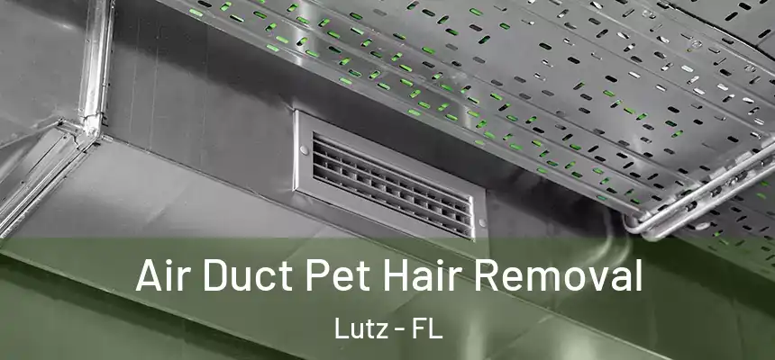  Air Duct Pet Hair Removal Lutz - FL