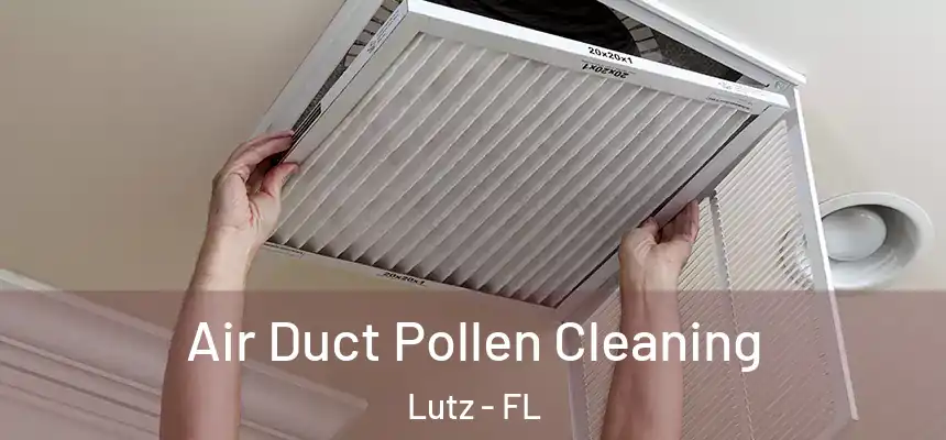  Air Duct Pollen Cleaning Lutz - FL