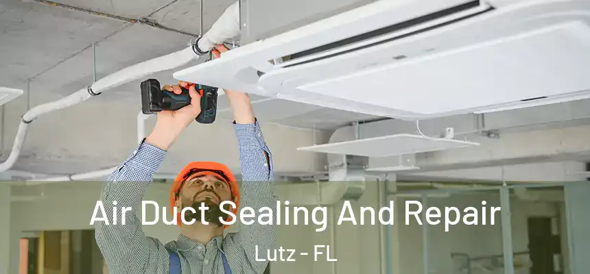  Air Duct Sealing And Repair Lutz - FL