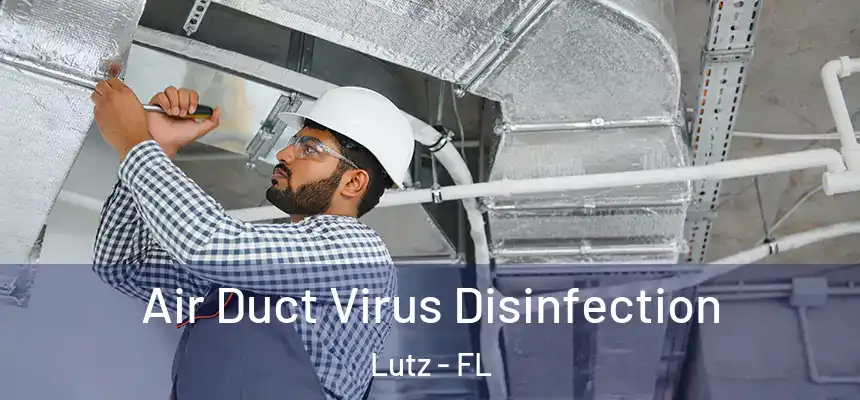 Air Duct Virus Disinfection Lutz - FL