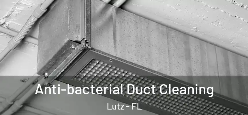  Anti-bacterial Duct Cleaning Lutz - FL