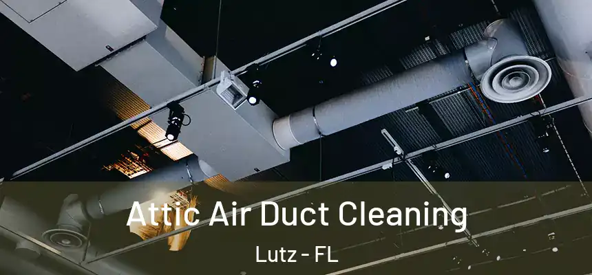  Attic Air Duct Cleaning Lutz - FL