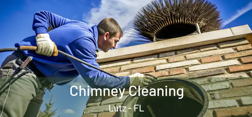  Chimney Cleaning Lutz - FL