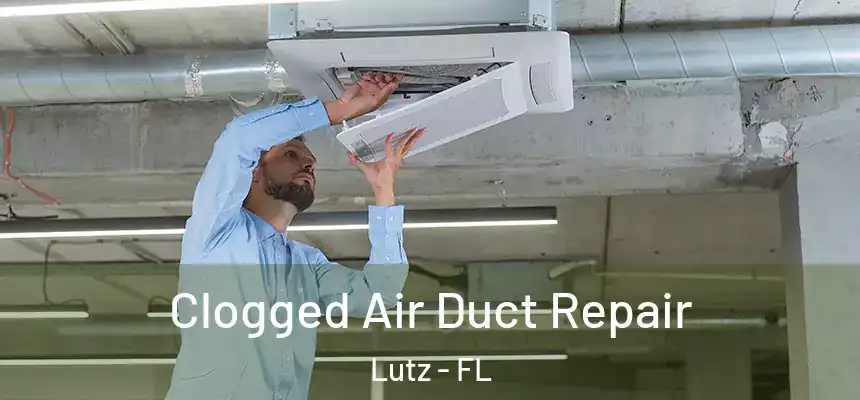  Clogged Air Duct Repair Lutz - FL