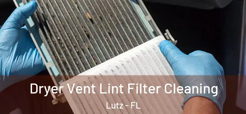 Dryer Vent Lint Filter Cleaning Lutz - FL