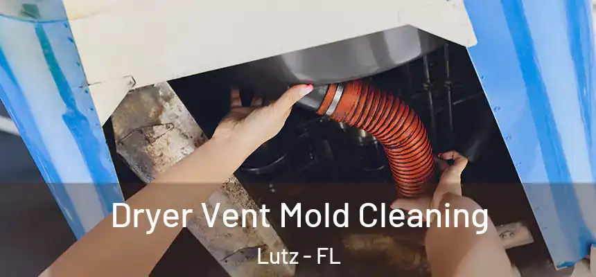  Dryer Vent Mold Cleaning Lutz - FL