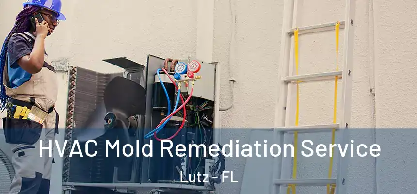  HVAC Mold Remediation Service Lutz - FL