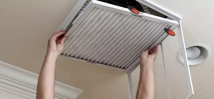 Preventive Cockroach-Proofing for Ducts in Lutz
