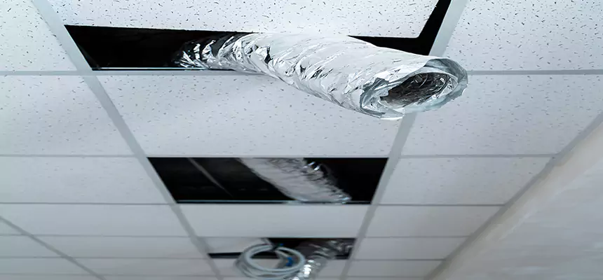 Affordable HVAC Sanitizing After Pest Removal in Lutz