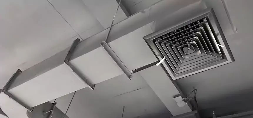 Restorative Allergy Relief Vent Cleaning – Coil, Blower & Housing Detail in Lutz