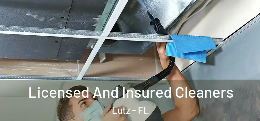  Licensed And Insured Cleaners Lutz - FL