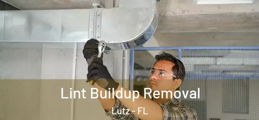 Lint Buildup Removal Lutz - FL