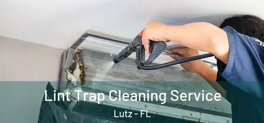Lint Trap Cleaning Service Lutz - FL
