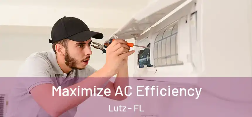 Maximize AC Efficiency Lutz - FL