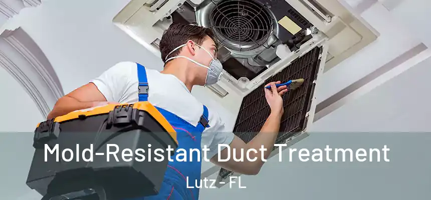  Mold-Resistant Duct Treatment Lutz - FL