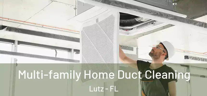  Multi-family Home Duct Cleaning Lutz - FL