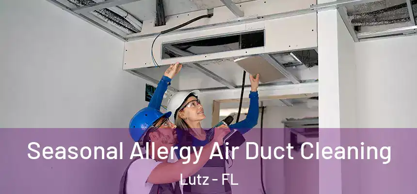  Seasonal Allergy Air Duct Cleaning Lutz - FL
