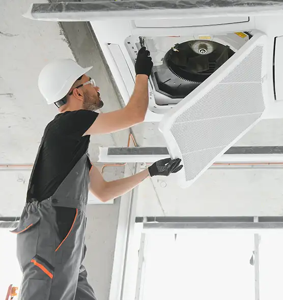 About Air Duct Rodent Removal in Lutz, FL