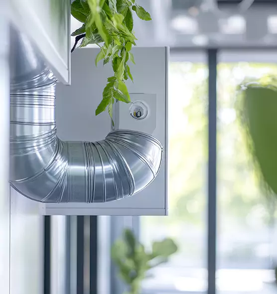 Professional Eco-Safe Dryer Vent Cleaning in Lutz, FL