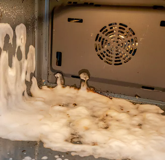 Why Homeowners Businesses Trust Us in Lutz, FL?