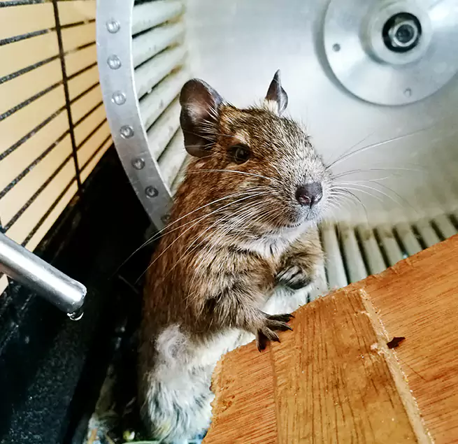 Why Homeowners & Businesses Trust Us Lutz, FL?