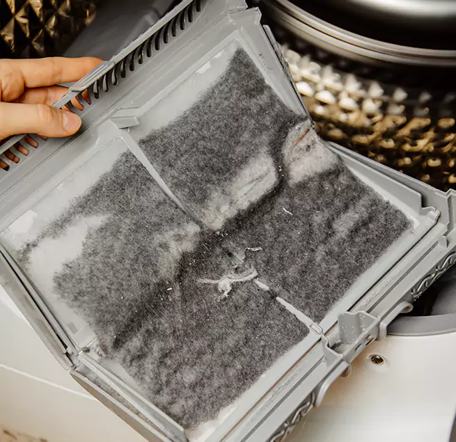 Why Homeowners & Businesses Trust Us Lutz, FL?