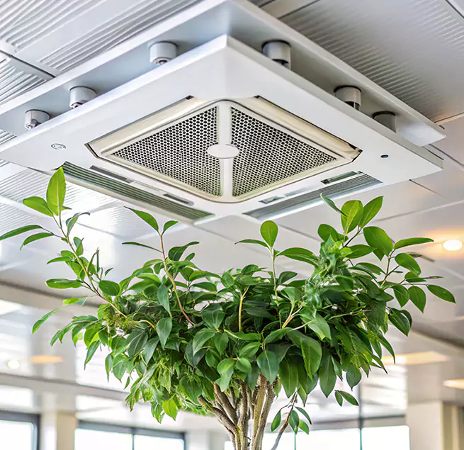 Why Homeowners & Businesses Trust Us in Lutz, FL