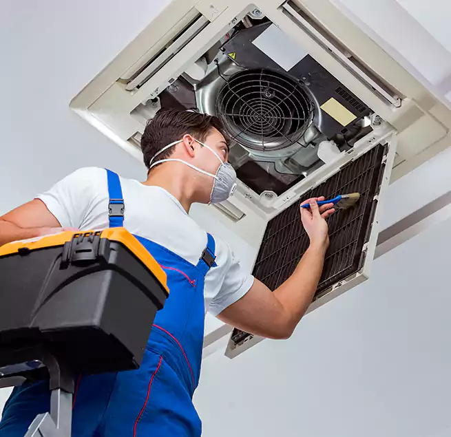 Why Homeowners & Businesses Trust Us in Lutz, FL?