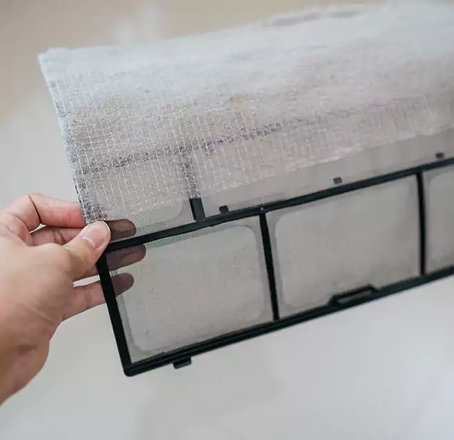 Why Homeowners & Businesses Trust Us in Lutz, FL?