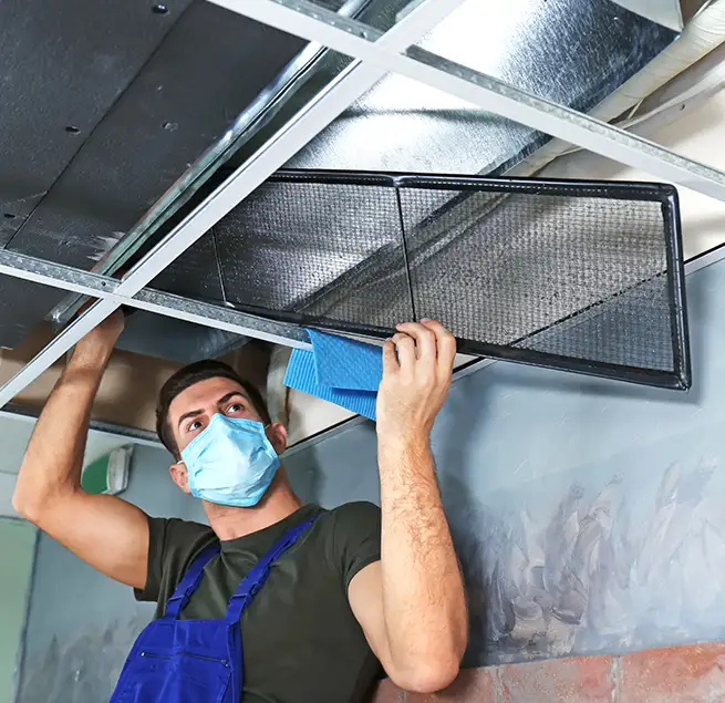 Why Homeowners & Businesses Trust Us in Lutz, FL?