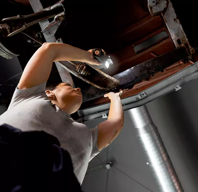 Why Homeowners & Businesses Trust Us Lutz, FL