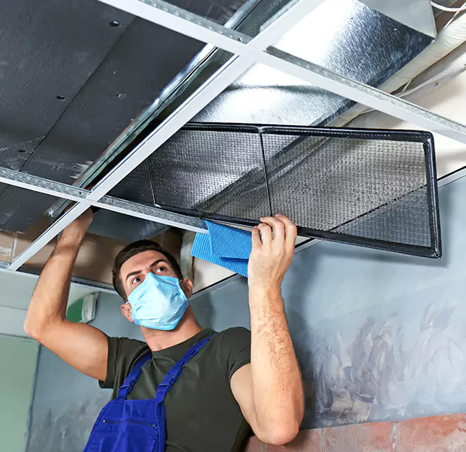  Why Homeowners Businesses Trust Us  in Lutz, FL?