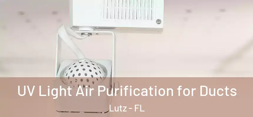  UV Light Air Purification for Ducts Lutz - FL