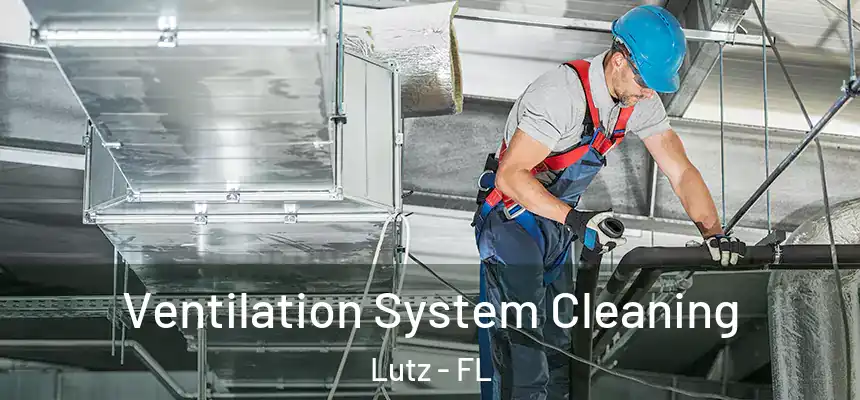  Ventilation System Cleaning Lutz - FL