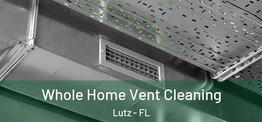  Whole Home Vent Cleaning Lutz - FL